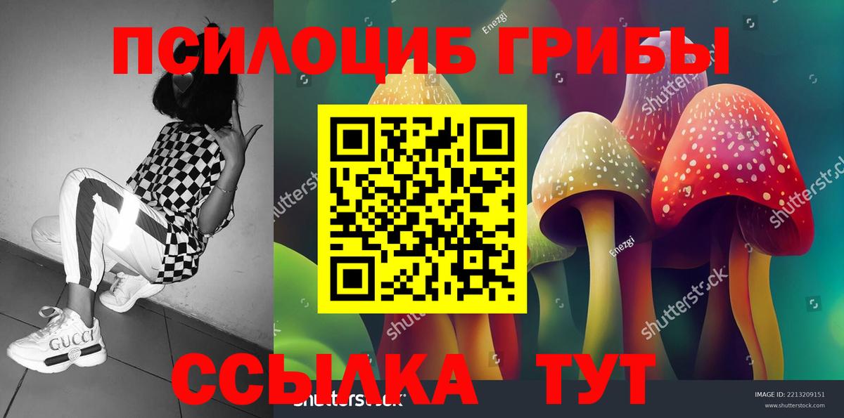 Галлюциногенные грибы Cubensis Чайковский