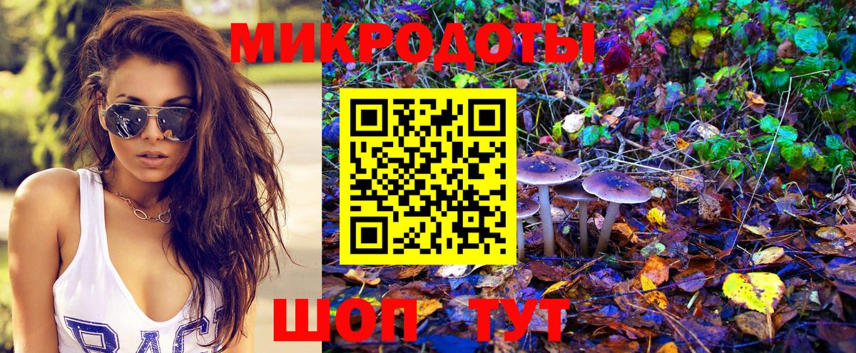 Чайковский  Псилоцибиновые грибы MAGIC MUSHROOMS  купить  сайты  Вход с VPN 